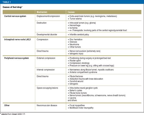 special tests for foot drop|differential diagnosis for foot drop.